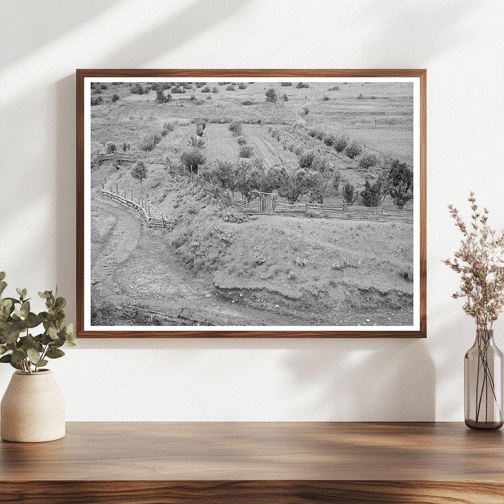 Spanish-American Farmers Garden in Chamisal New Mexico 1940