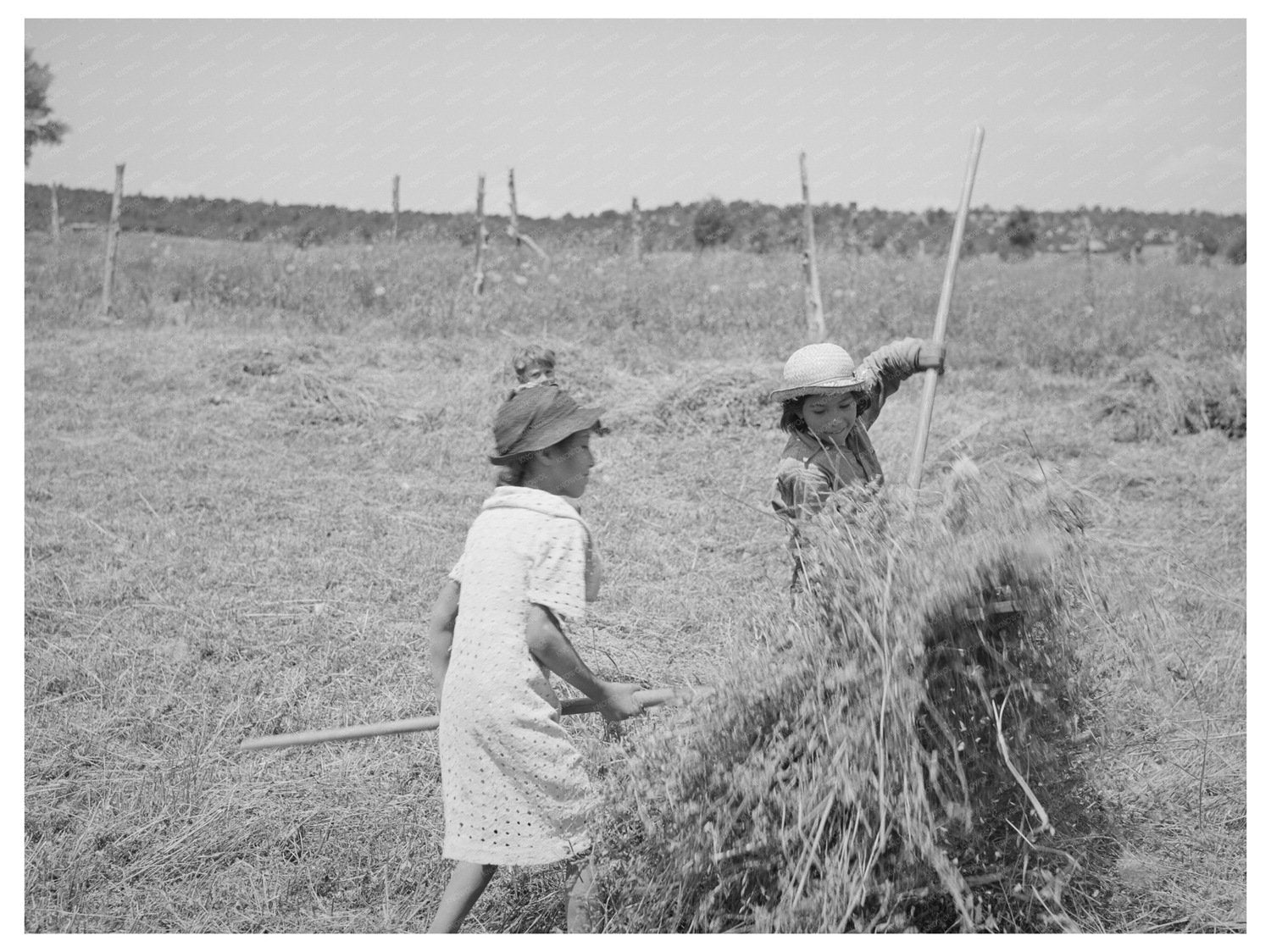 Young Girls Pitching Hay in Chamisal New Mexico 1940