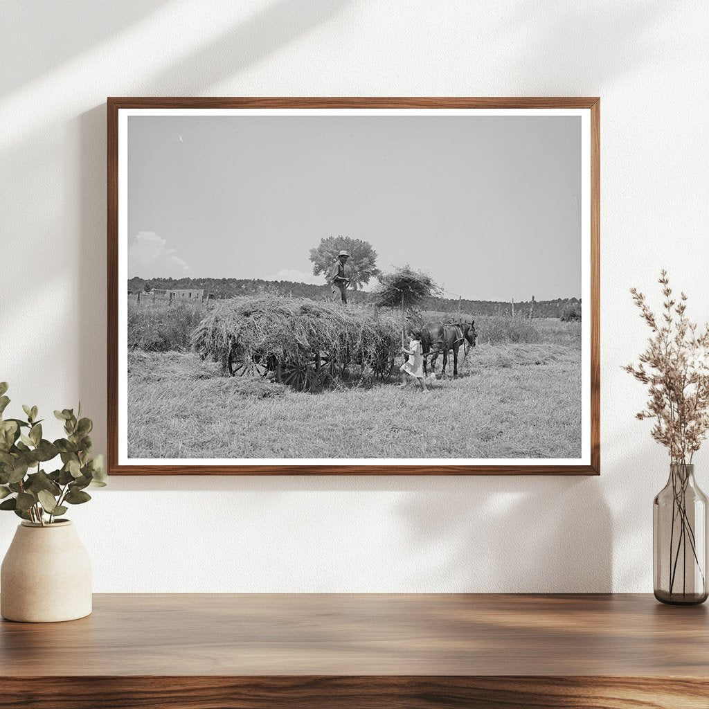 Hay Pitching on Spanish-American Farm Chamisal NM 1940