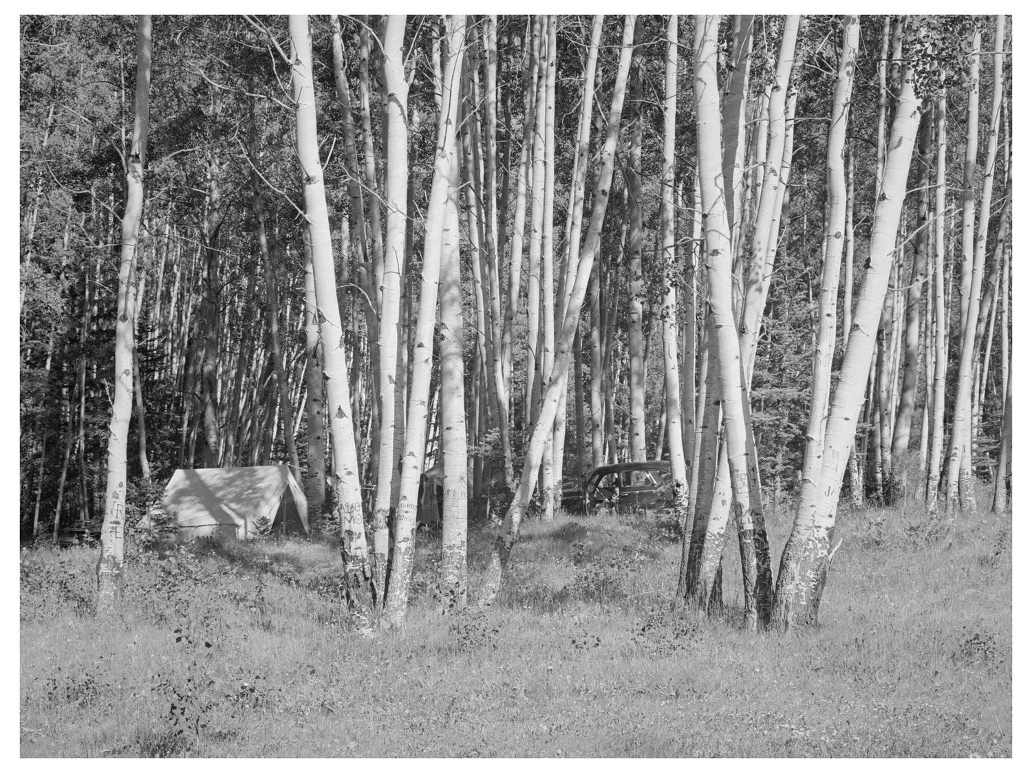 Campers in Aspen Groves Santa Barbara Canyon 1940