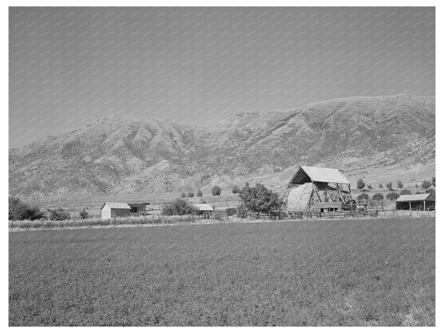 Hay Barn at Wasatch Mountains Box Elder County Utah 1940