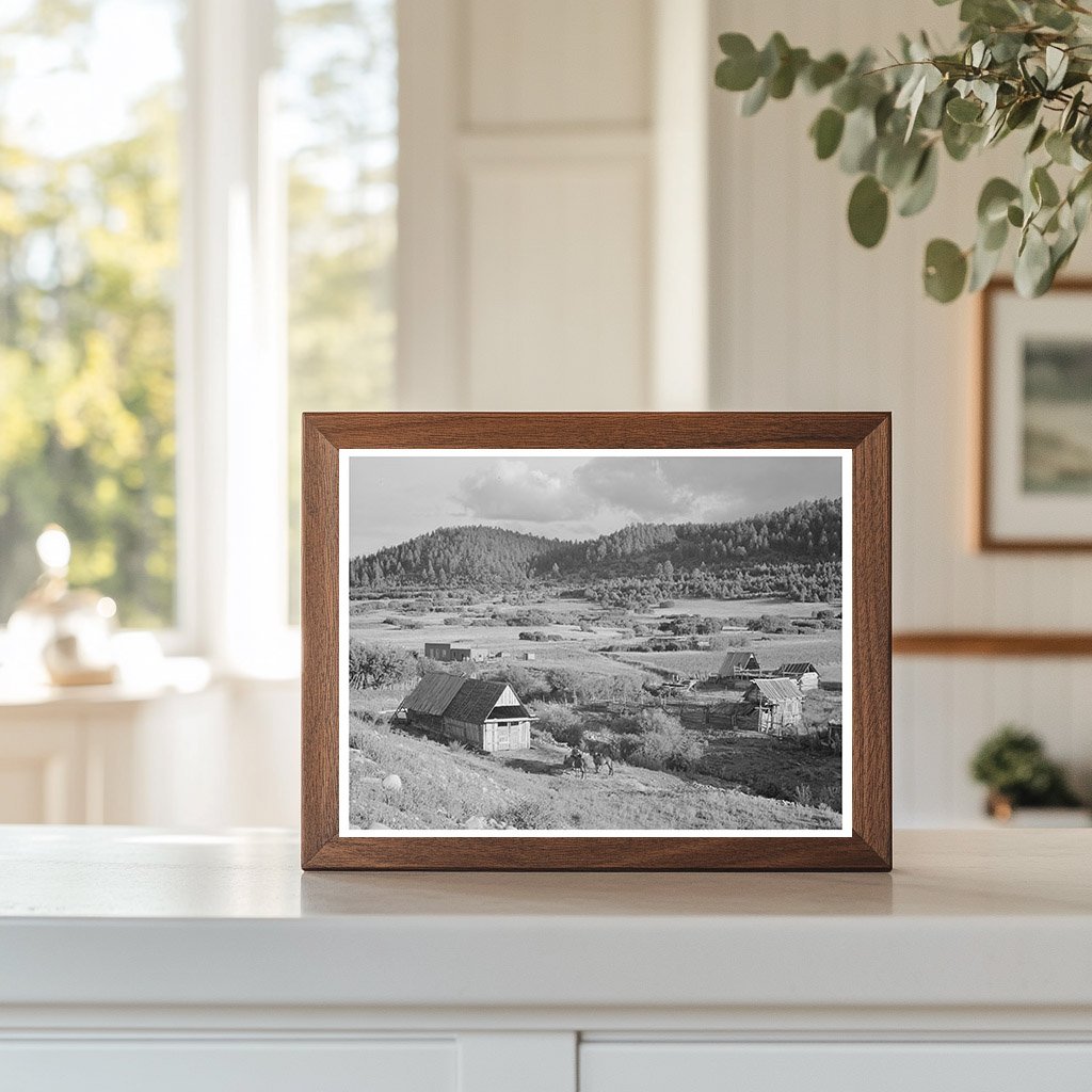 Farming Landscape in Llano de San Juan New Mexico 1940