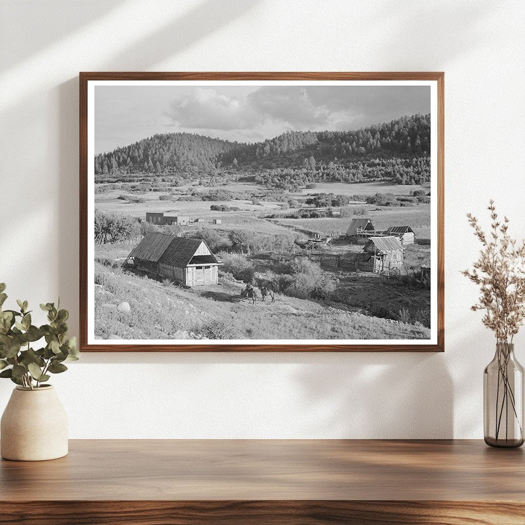 Farming Landscape in Llano de San Juan New Mexico 1940