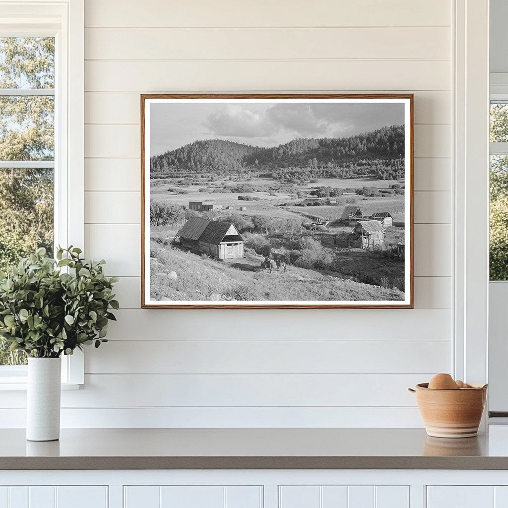 Farming Landscape in Llano de San Juan New Mexico 1940