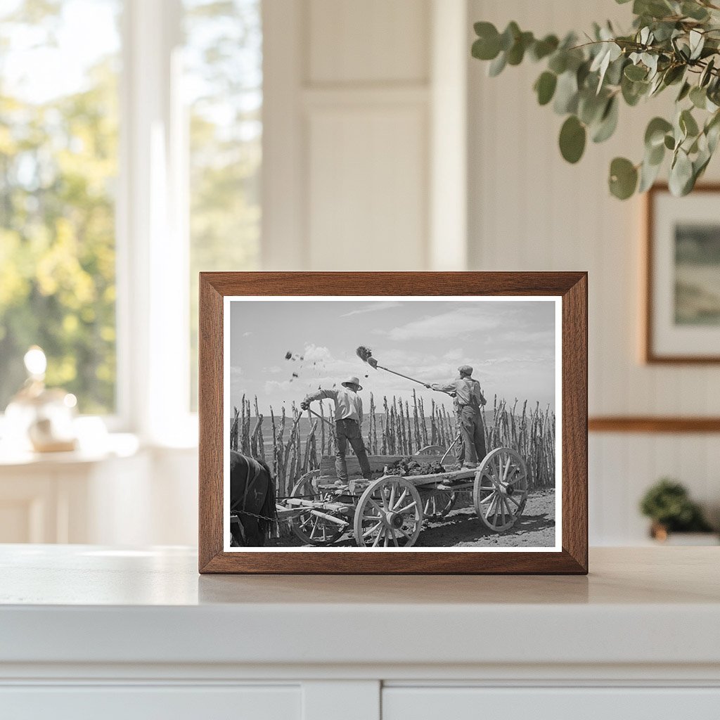 Vintage 1940 Agricultural Scene in Box Elder County Utah