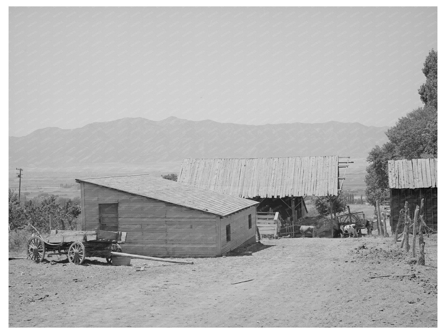 Mormon Farmer Barns Cache County Utah August 1940