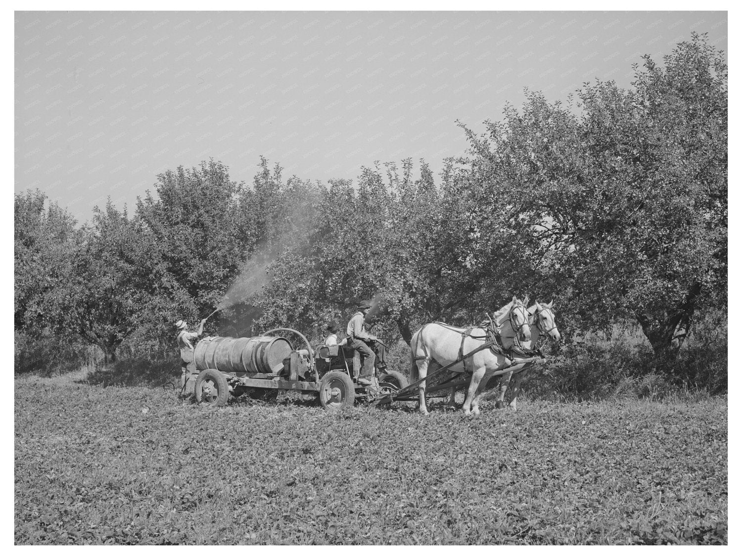 Cooperative Sprayer Operation Cache County Utah August 1940