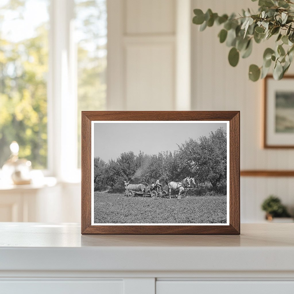 Cooperative Sprayer Operation Cache County Utah August 1940