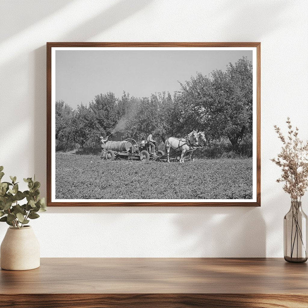 Cooperative Sprayer Operation Cache County Utah August 1940