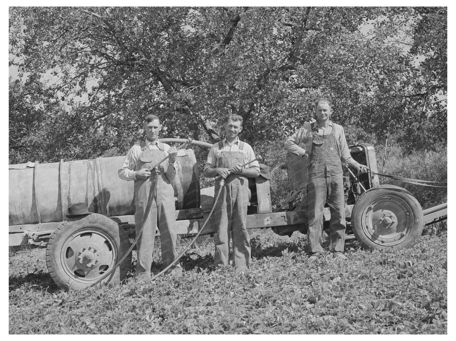Farm Security Administration Cooperative Sprayer Utah 1940
