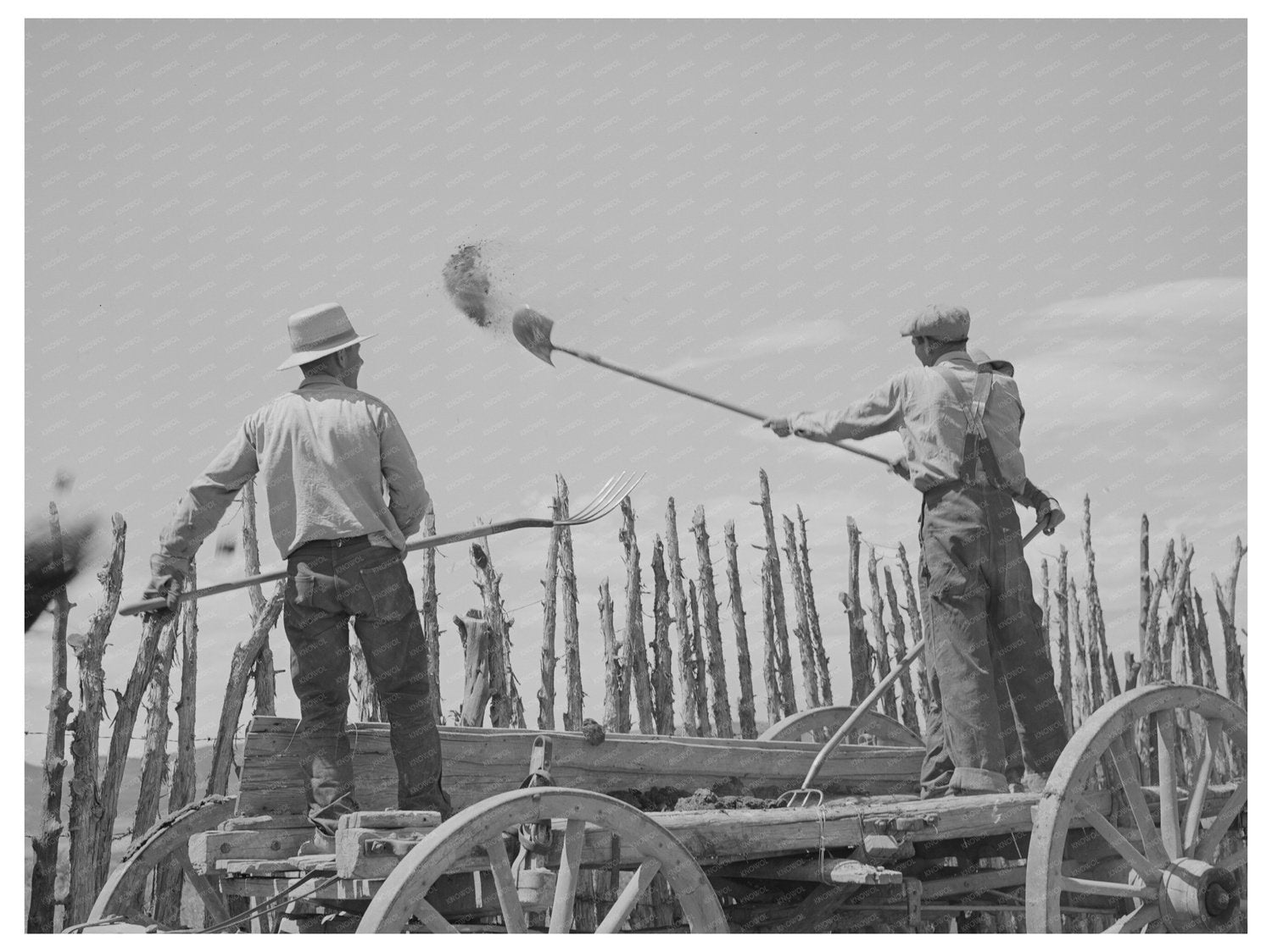 Manure Disposal in Box Elder County Utah July 1940