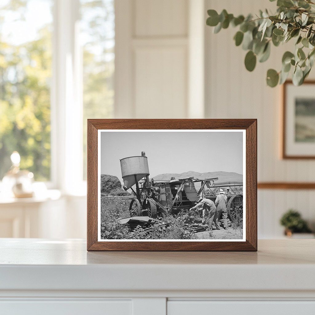 Farmers Moving Combine in Box Elder County Utah 1940
