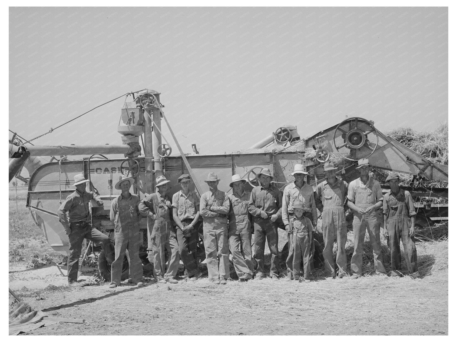 Threshing Crew in Box Elder County Utah August 1940