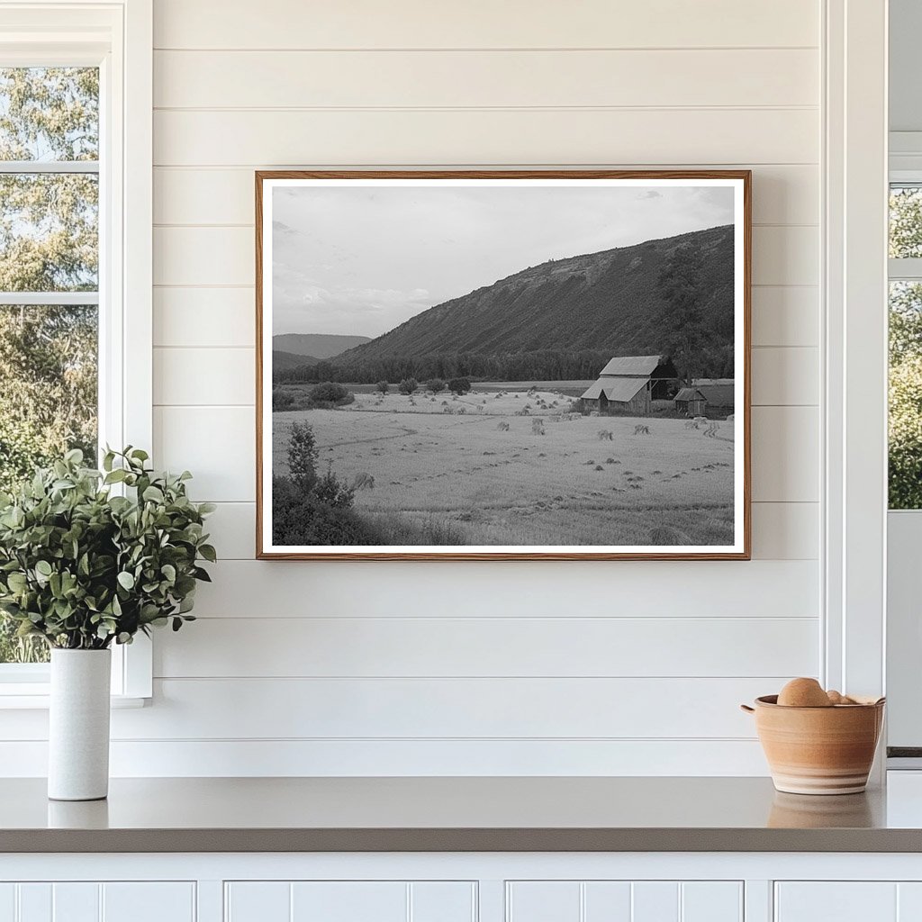 Wheat Field in Anchuleta County Colorado August 1940