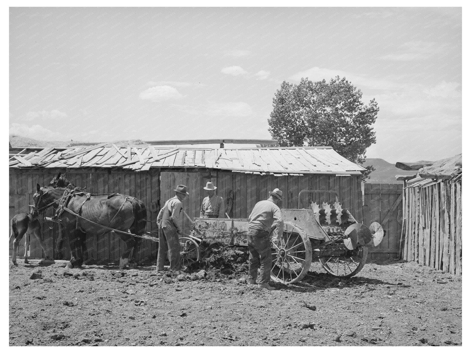 Farm Security Administration Cooperative Manure Spreader 1940