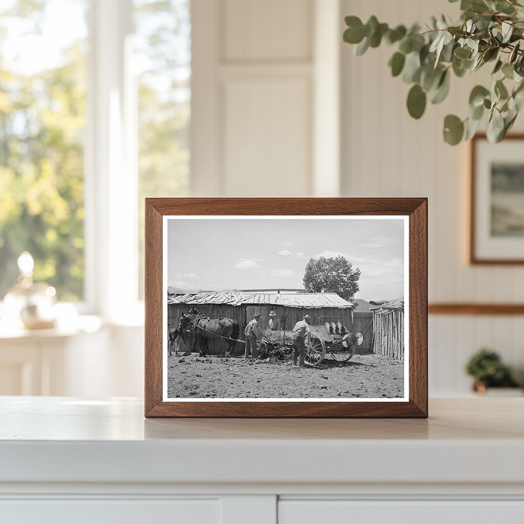 Farm Security Administration Cooperative Manure Spreader 1940