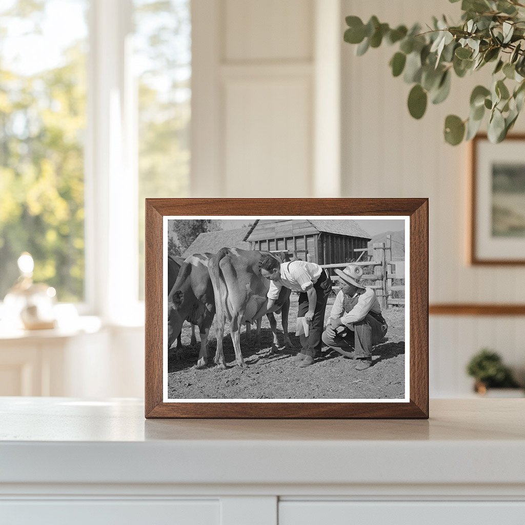 Farm Security Administration Supervisor with Cow Utah 1940