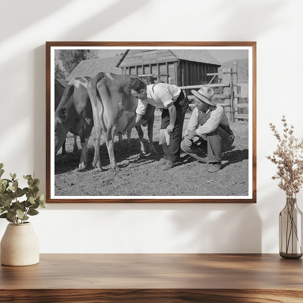 Farm Security Administration Supervisor with Cow Utah 1940