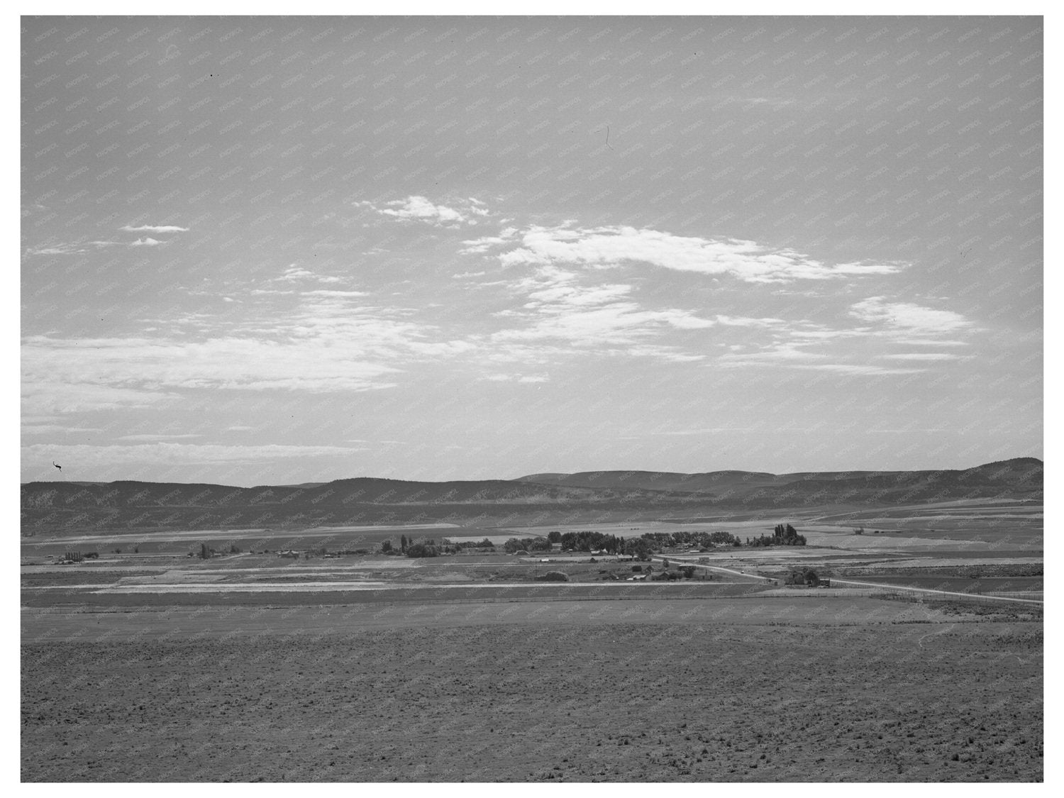 Snowville Utah Rural Landscape August 1940 Photo
