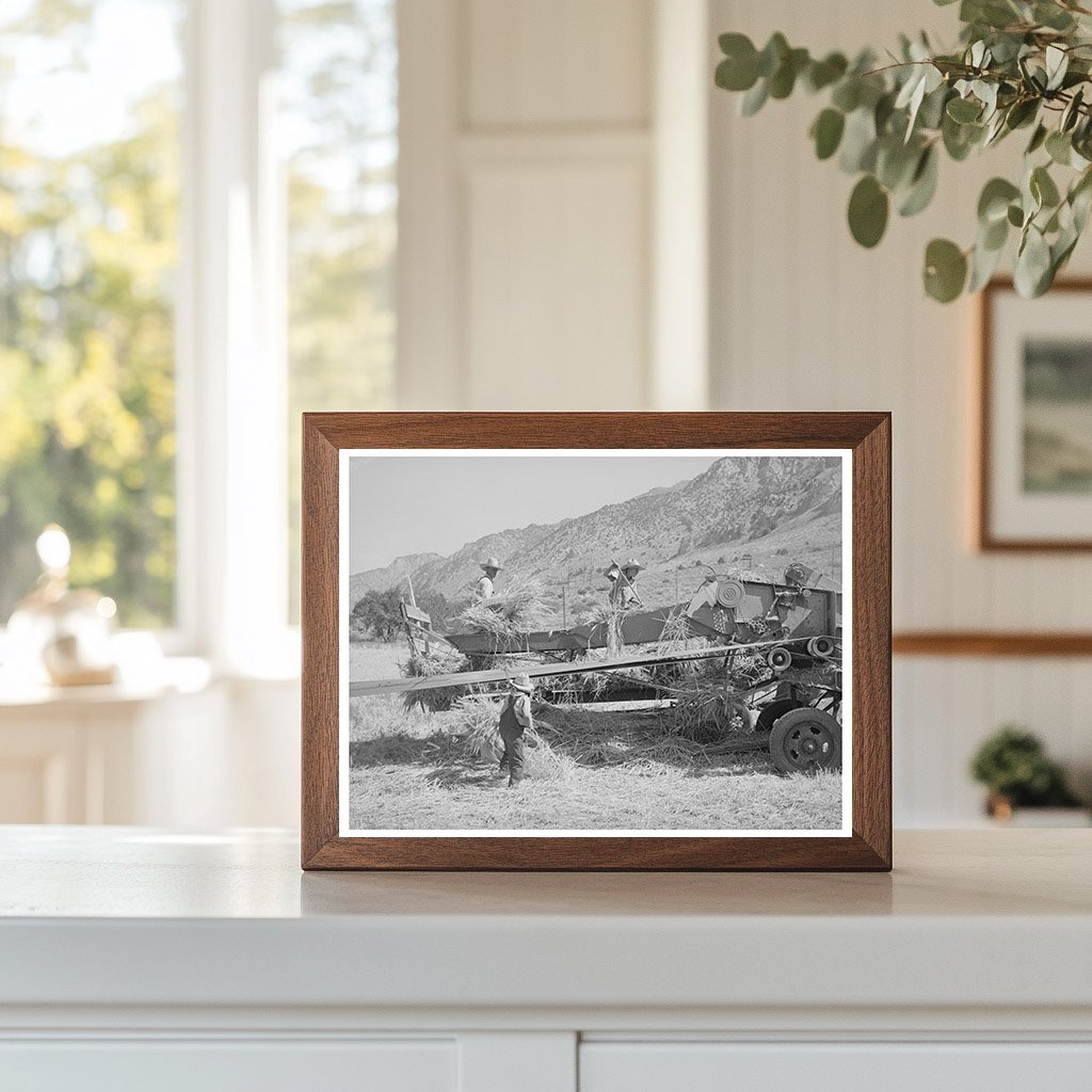 Threshing Barley on a Mormon Farm Utah August 1940