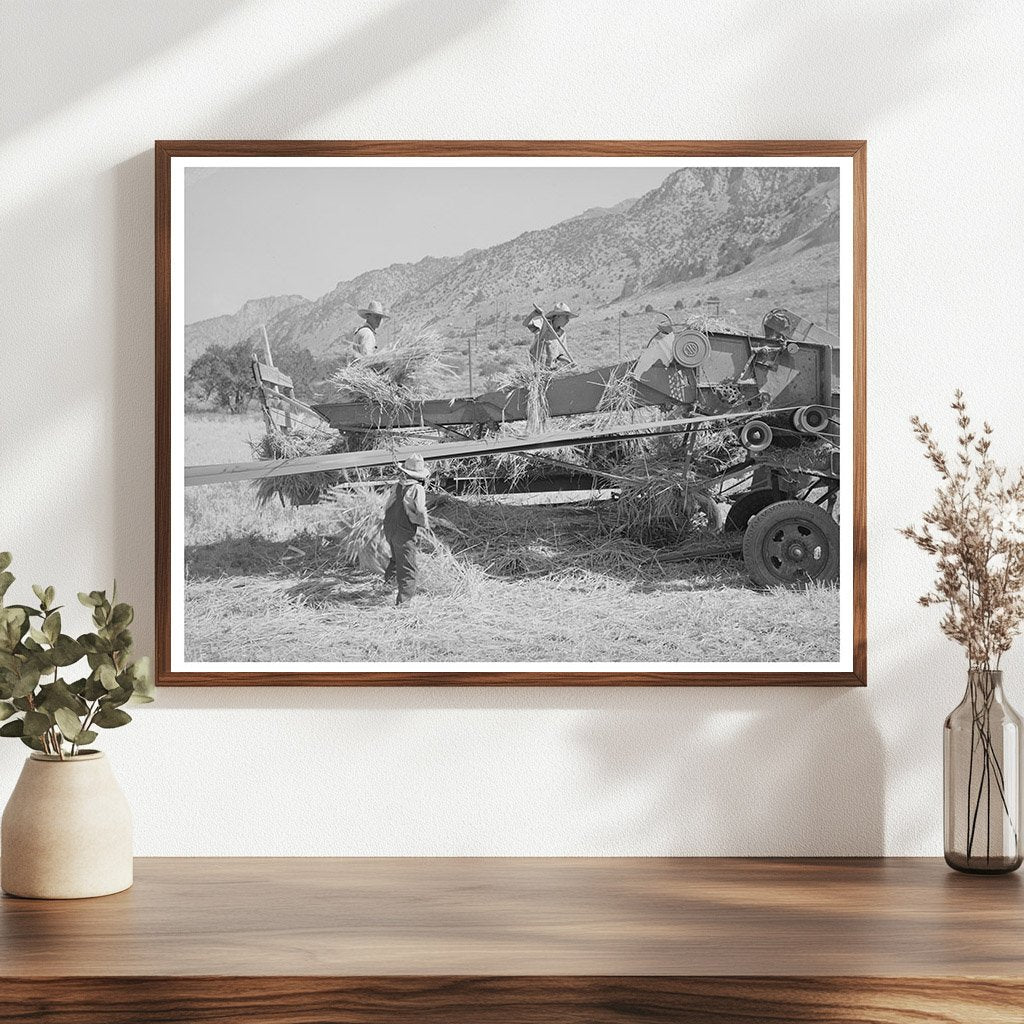 Threshing Barley on a Mormon Farm Utah August 1940