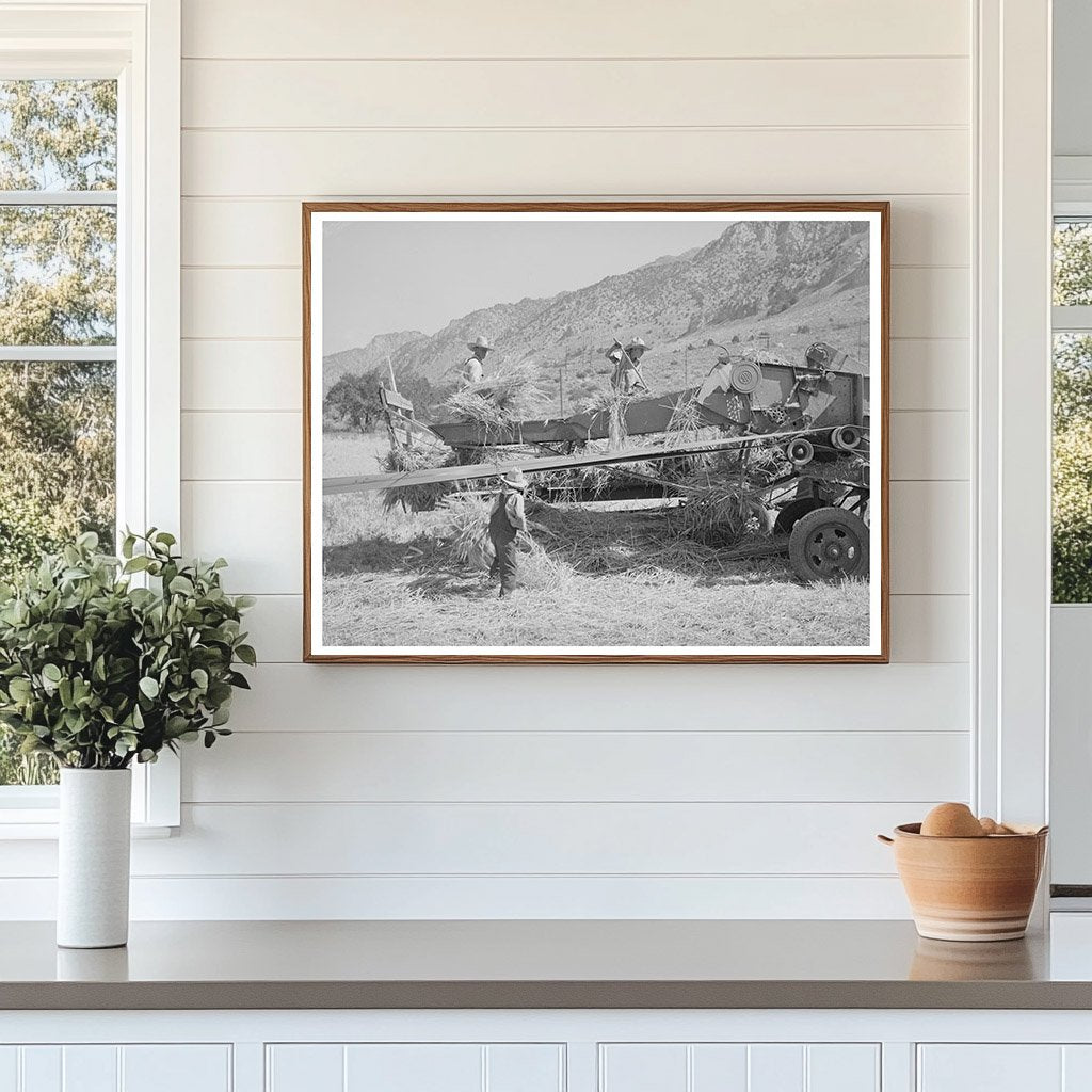 Threshing Barley on a Mormon Farm Utah August 1940