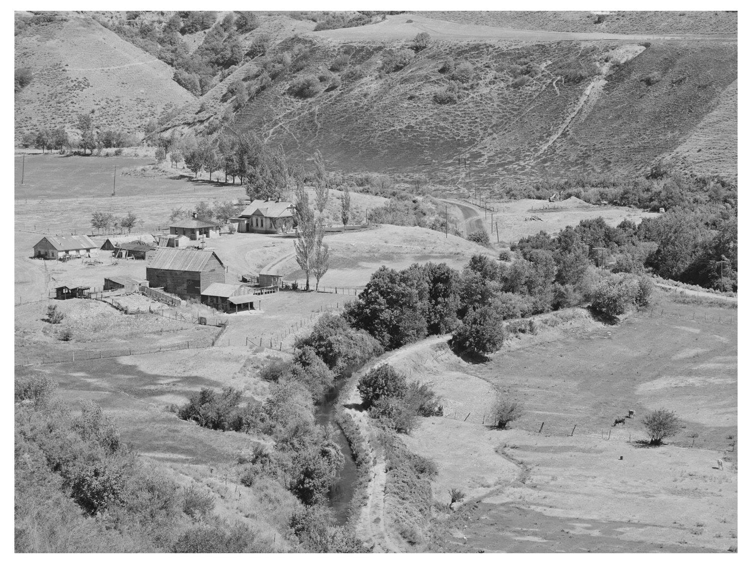 Farmstead and Irrigation Ditch in Logan Utah 1940