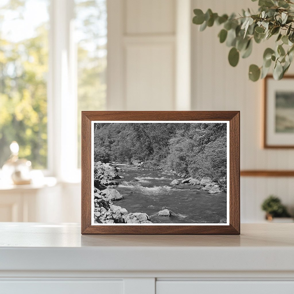 Mountain Stream Logan River Cache County Utah 1940