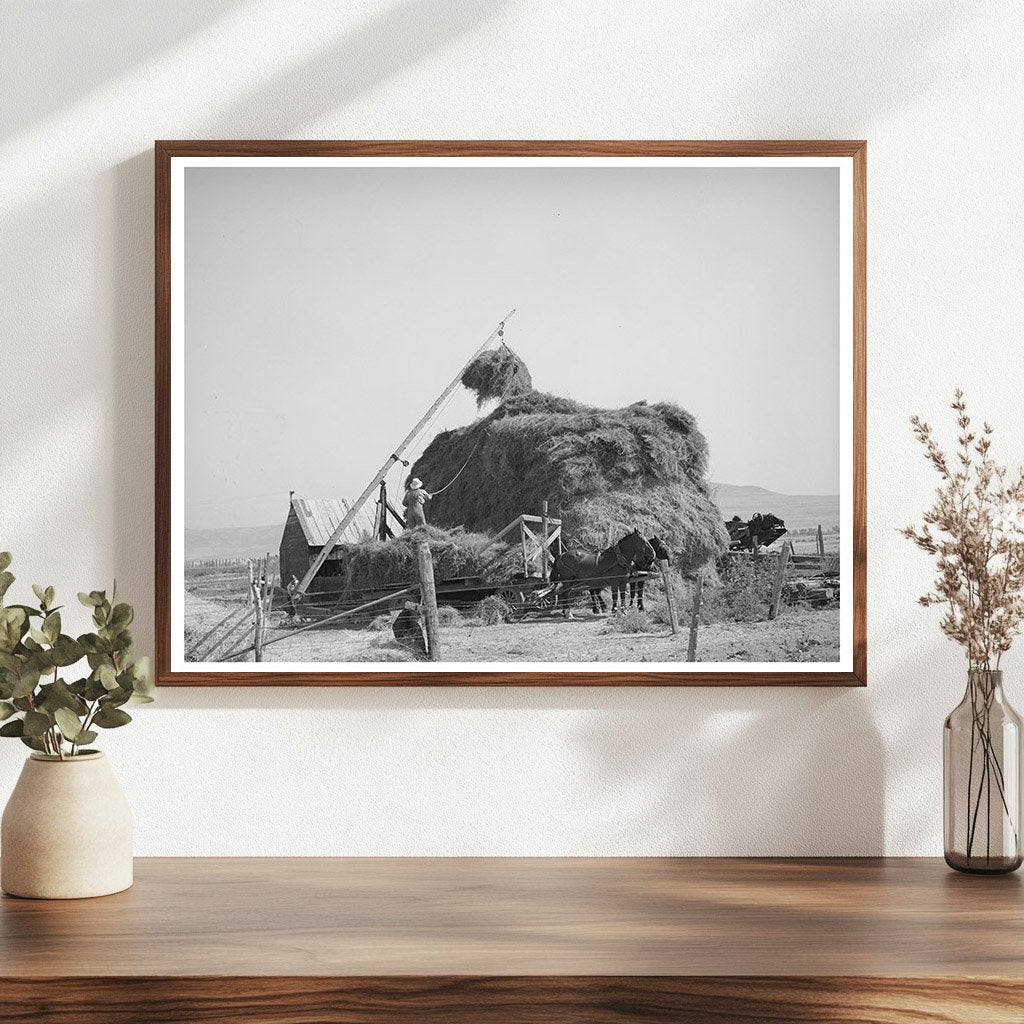 Hay Stacking with Mormon Hay Stacker Box Elder County 1940