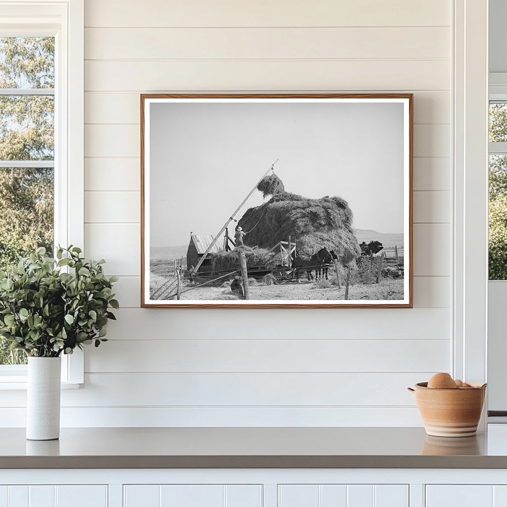 Hay Stacking with Mormon Hay Stacker Box Elder County 1940
