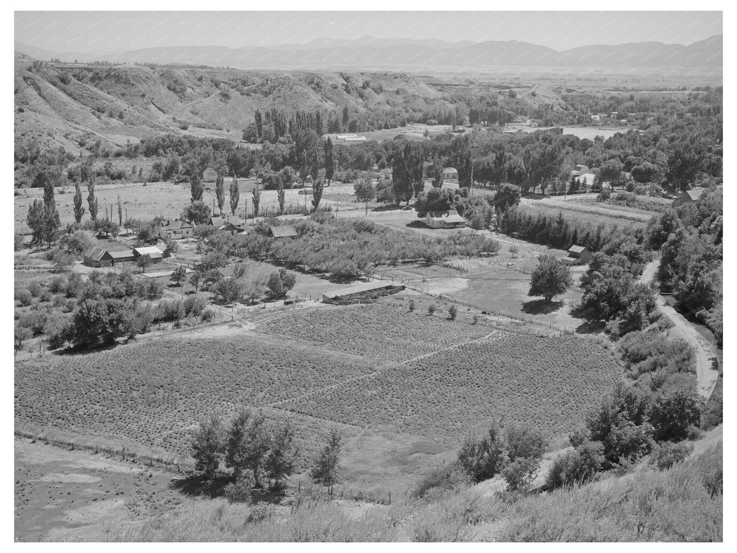 Farming Landscape in Logan Utah August 1940