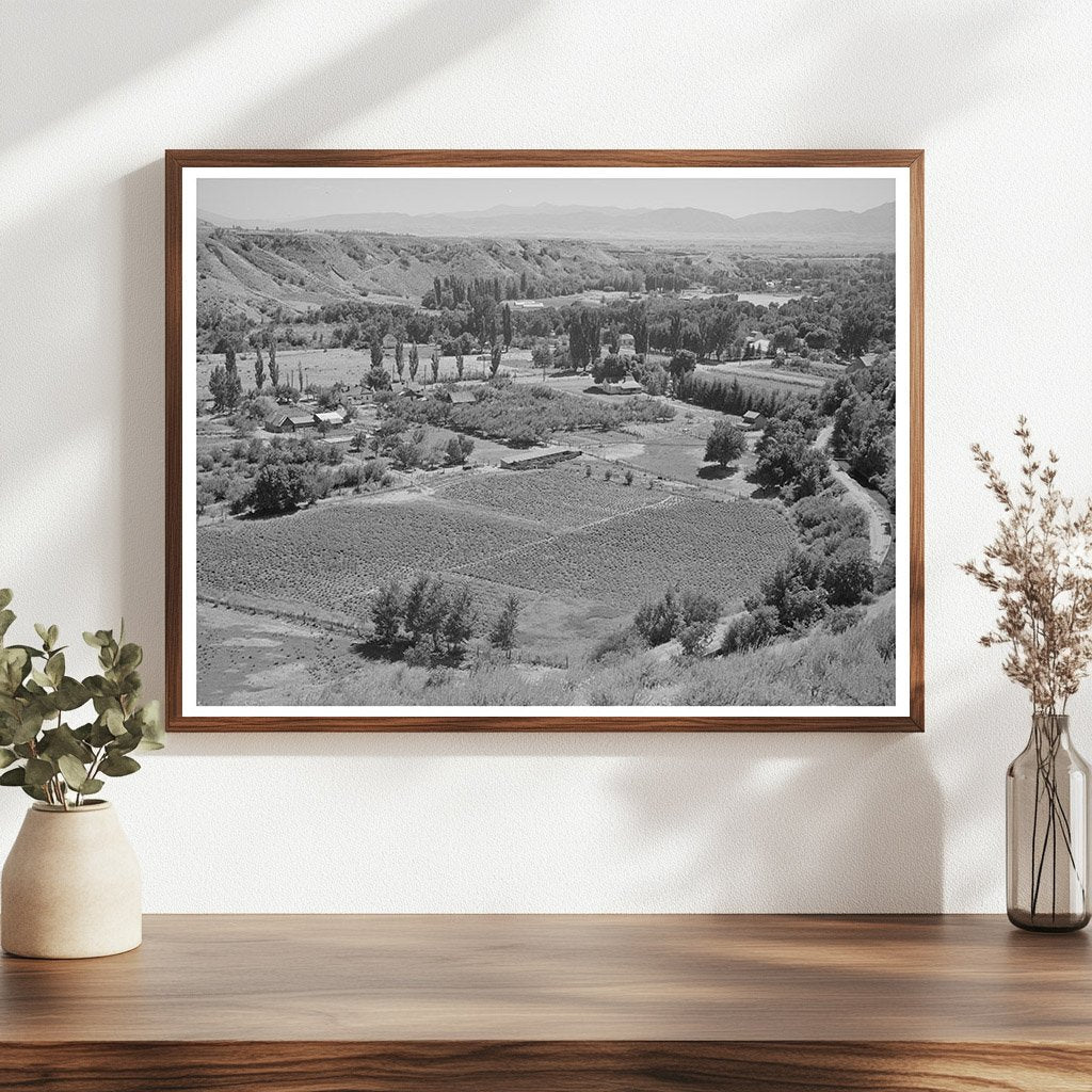Farming Landscape in Logan Utah August 1940