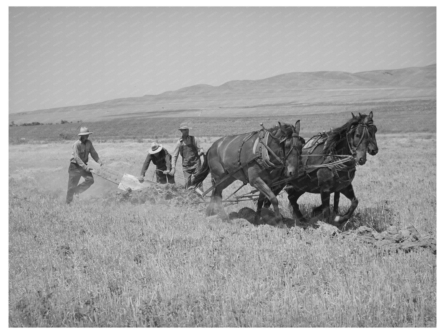 West Bear River Ditcher Operation Box Elder County 1940