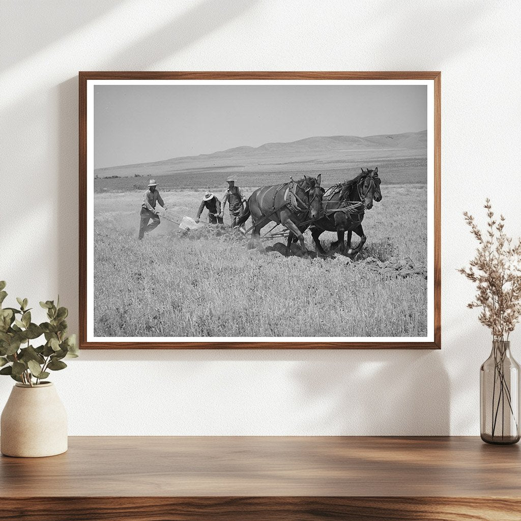 West Bear River Ditcher Operation Box Elder County 1940