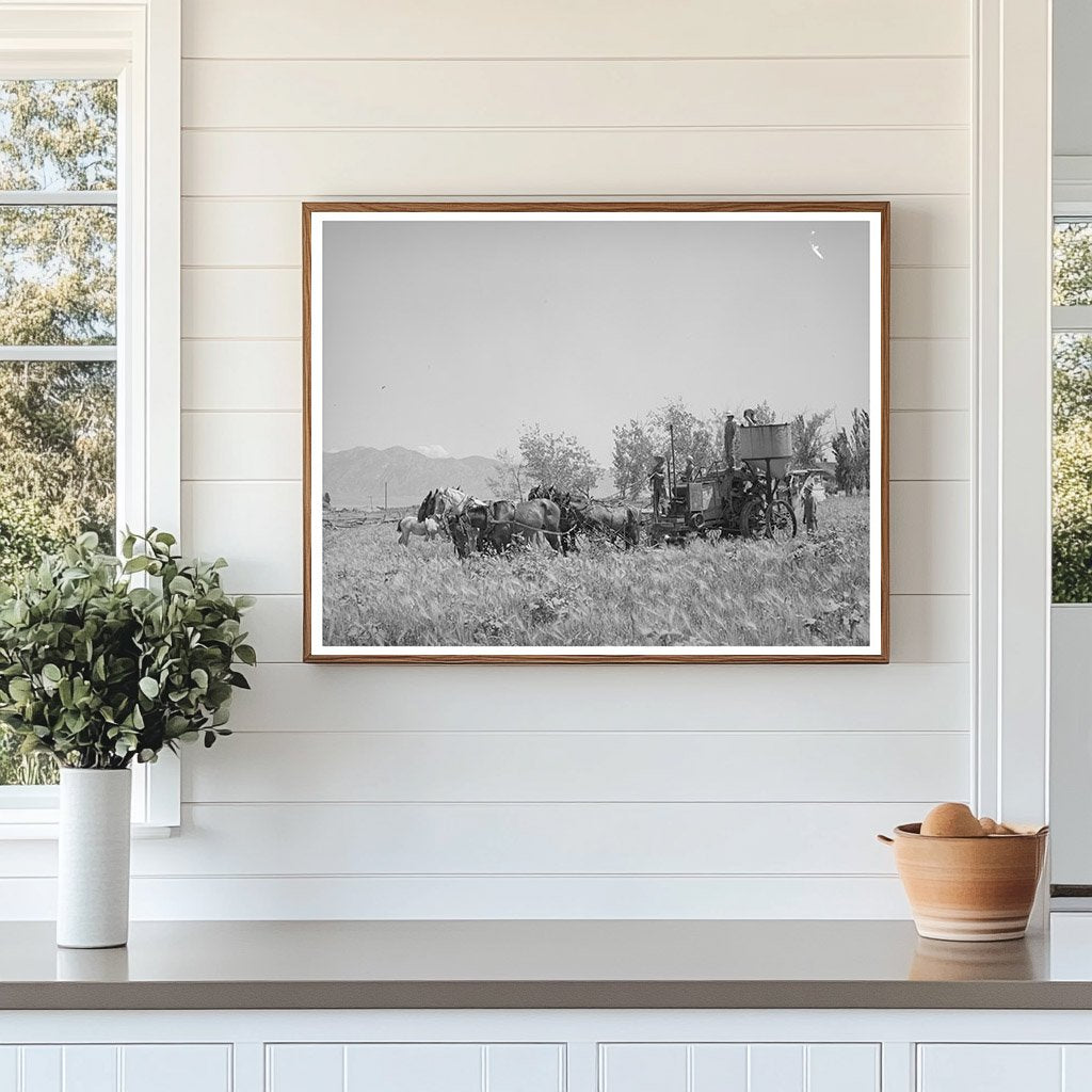 Horses in Box Elder County Utah August 1940 Agriculture Scene