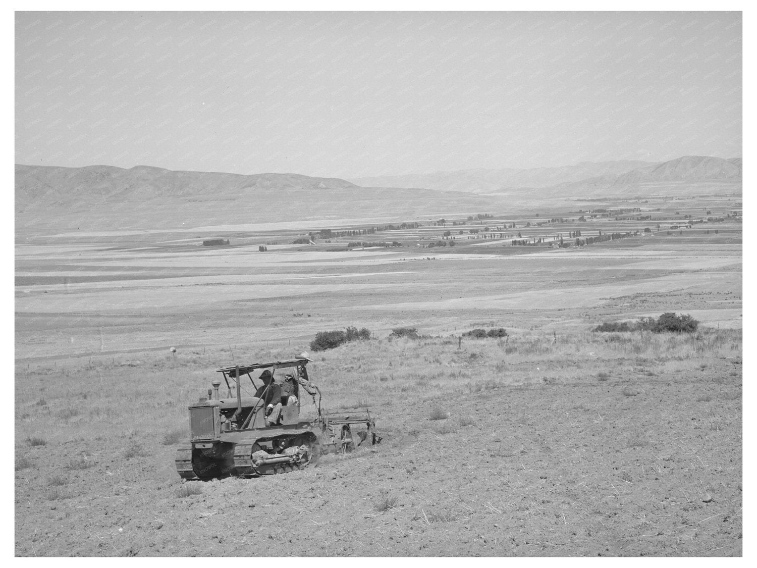 Ericson Brothers Tractor Plowing in Box Elder County 1940