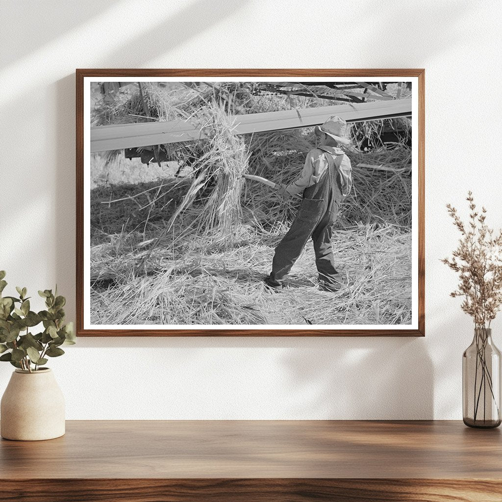 Boy Pitching Grain in Box Elder County Utah August 1940