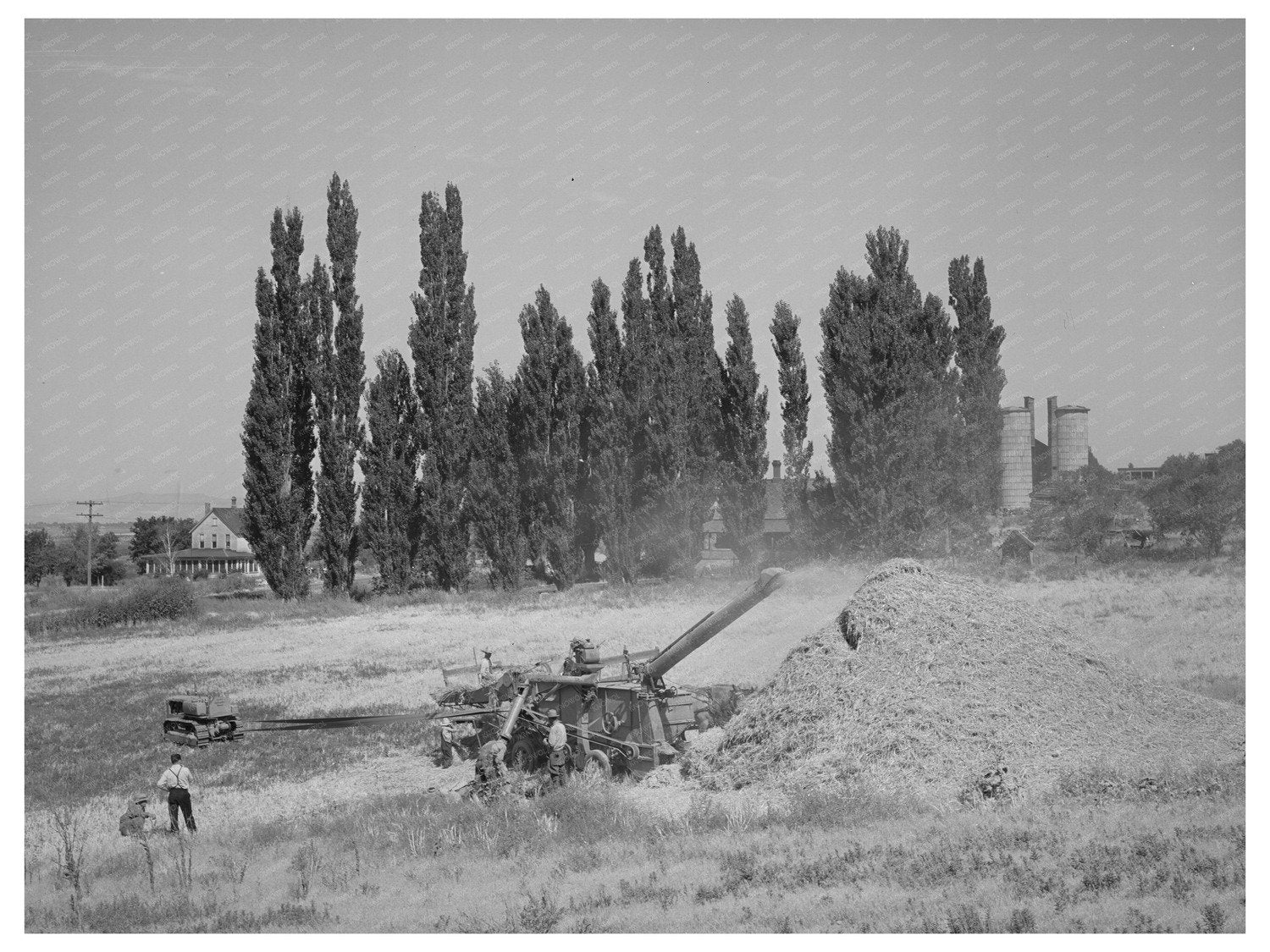 Threshing Grain in Box Elder County Utah 1940