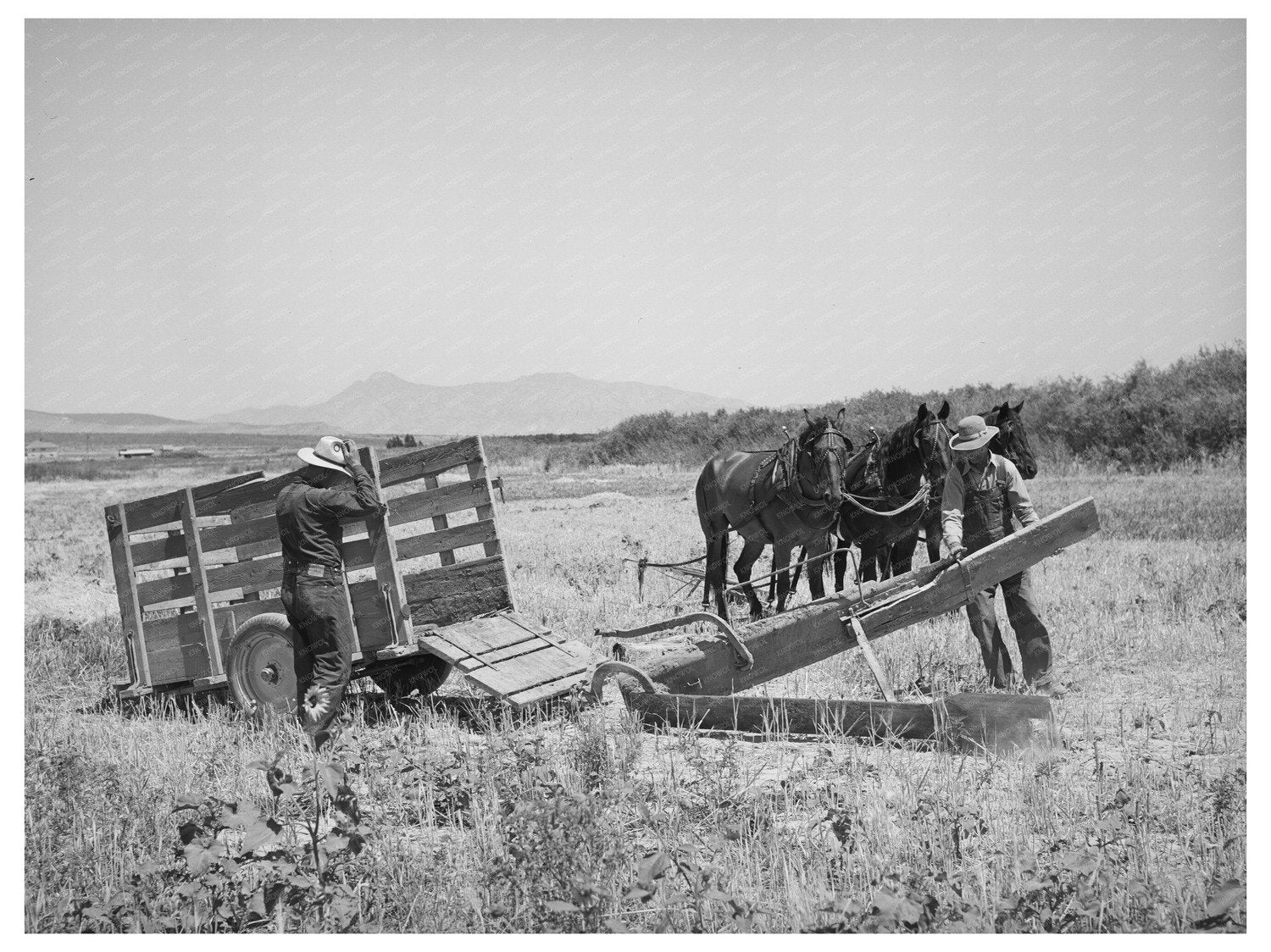 Vintage 1940 Unloading Cooperative Ditcher in Utah