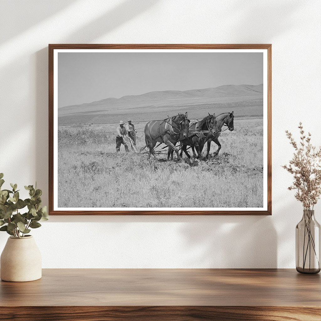 Ditch Digging Process in Box Elder County Utah 1940