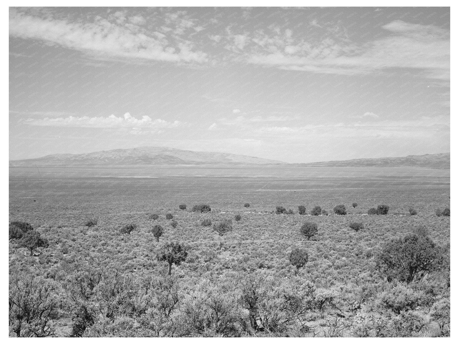 Vintage 1940 Landscape Box Elder County Utah Photo