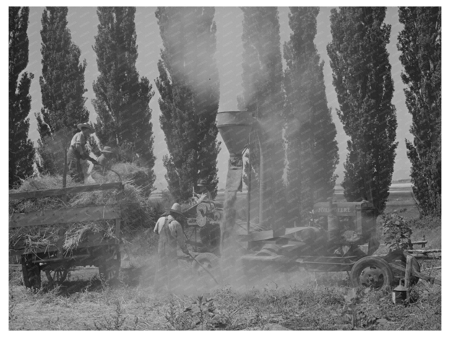 Cooperative Hay Chopper in Box Elder County Utah 1940