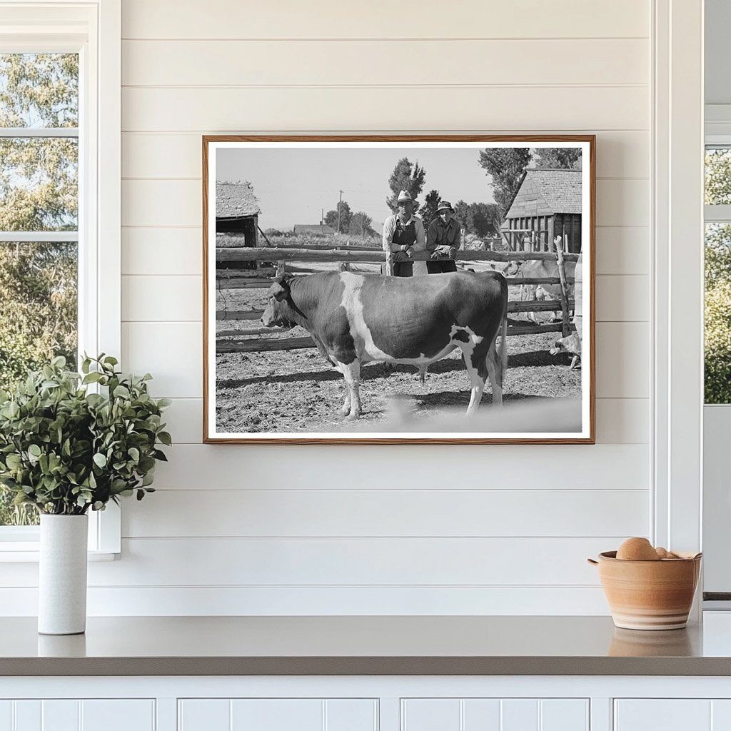 Cooperative Bull Agricultural Practices Box Elder County 1940