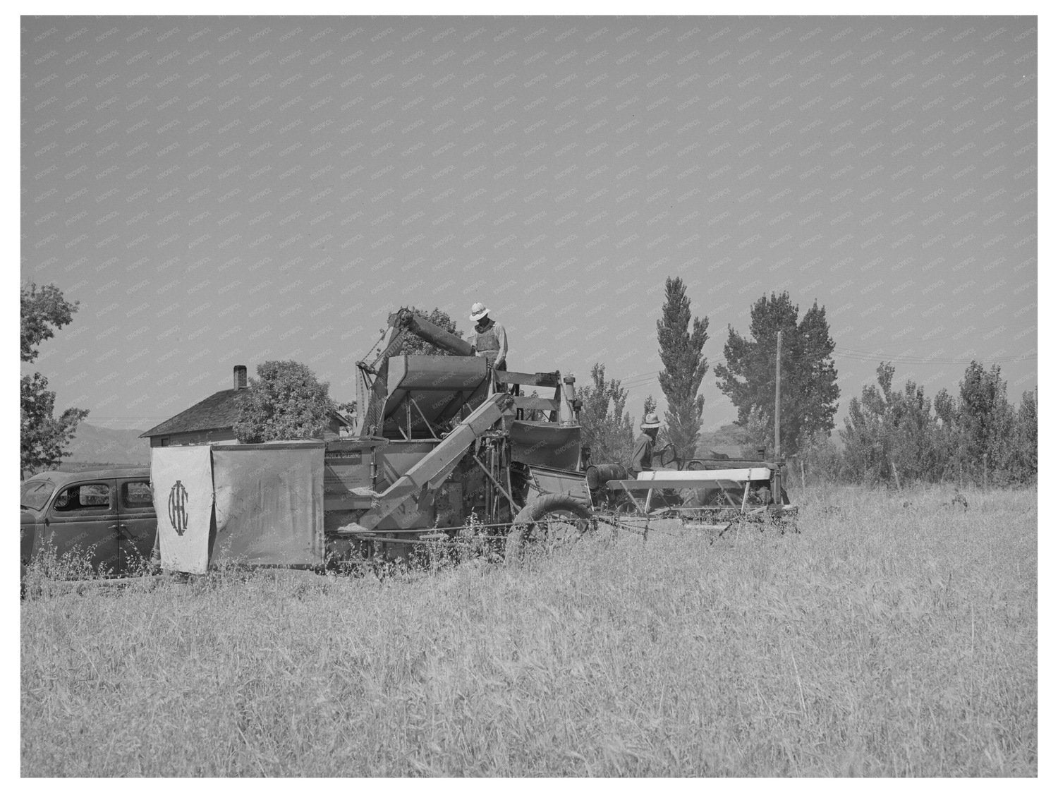 Box Elder County Utah Farming Scene August 1940