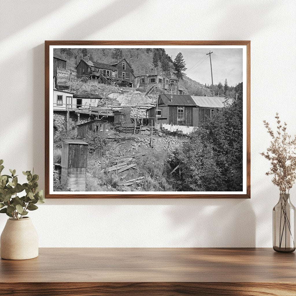 Houses in Ophir Colorado September 1940