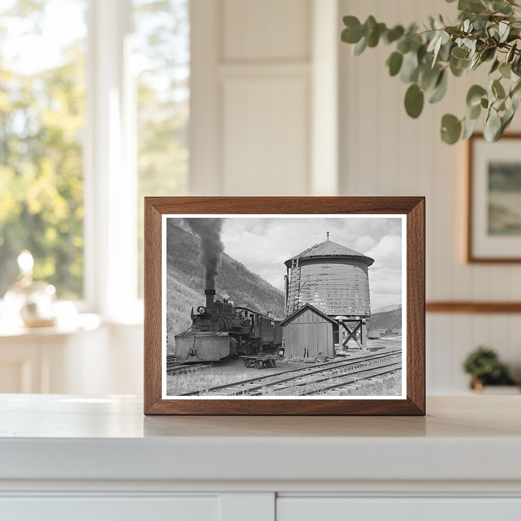 Telluride Colorado Narrow Gauge Railway Yards 1940