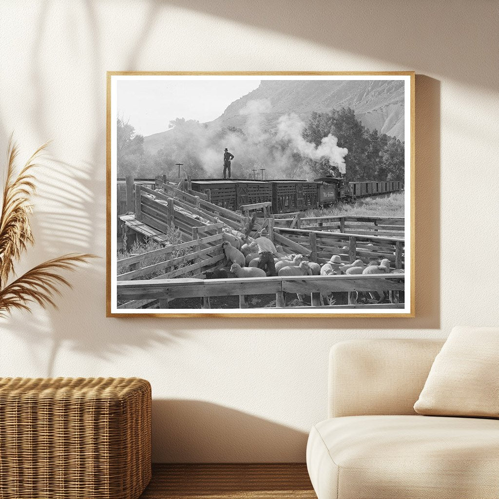 Loading Fat Lambs for Shipment to Denver September 1940