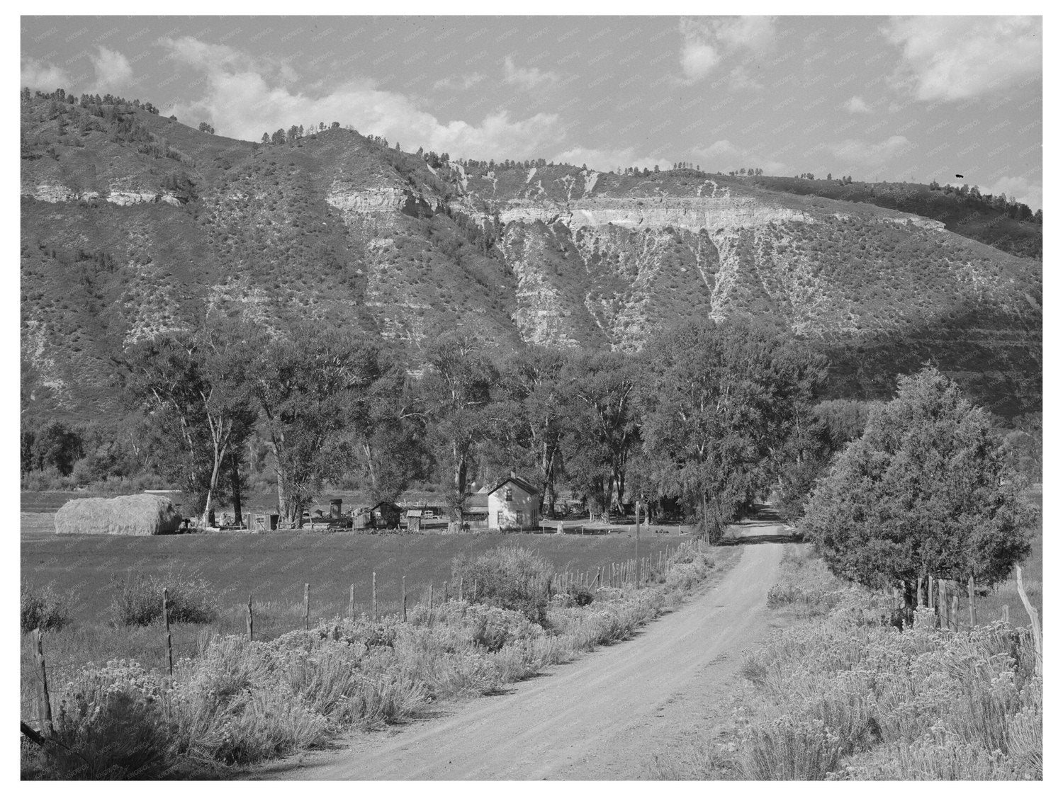 Vintage Farmstead in Uncompahgre Valley Colorado 1940