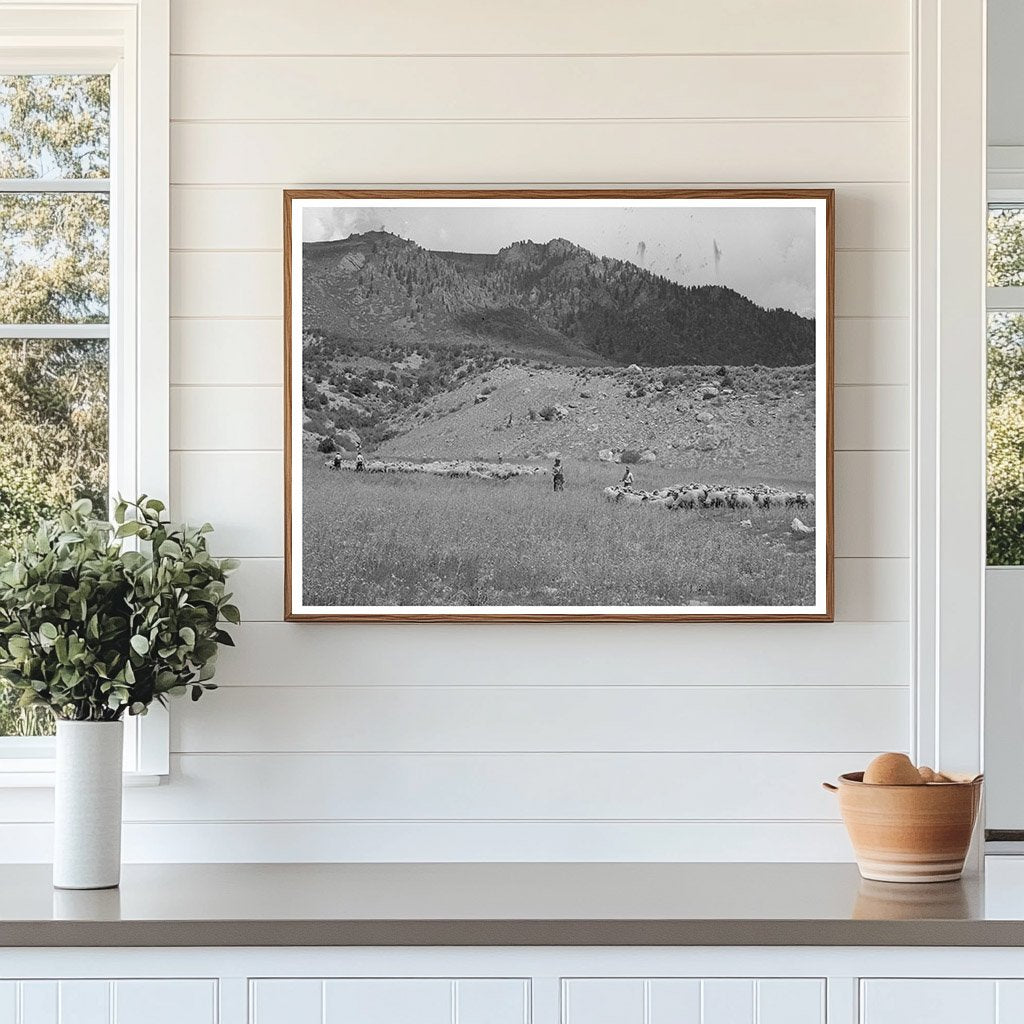 Transportation of Fat Lambs to Cimarron Colorado 1940