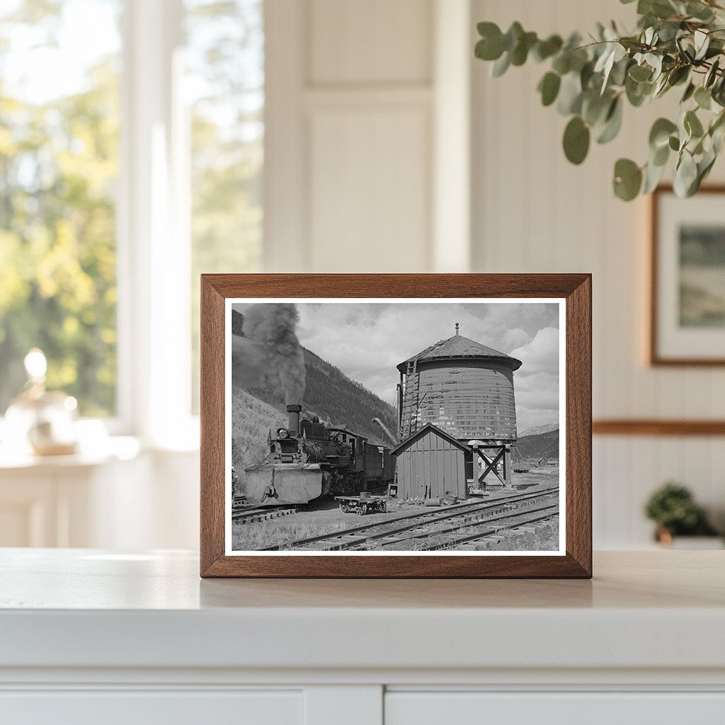 Narrow Gauge Railway Yard in Telluride Colorado 1940